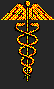 caduceus1.gif (597 bytes)